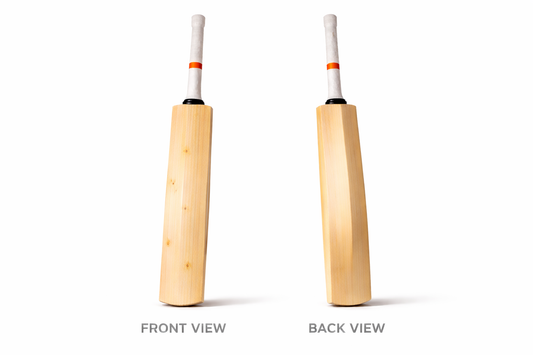 Two wooden cricket bats, one showing front view and the other back view, on a white background.