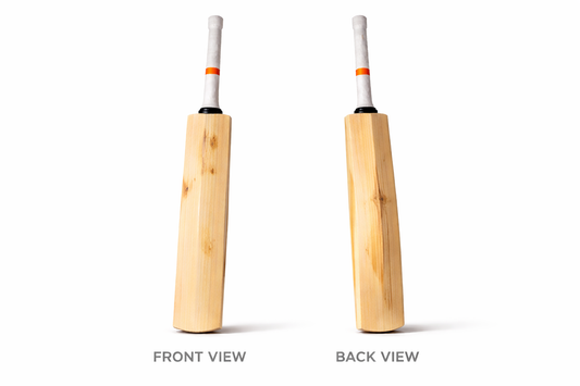 Two wooden cricket bats, one showing front view and the other back view, on a white background.